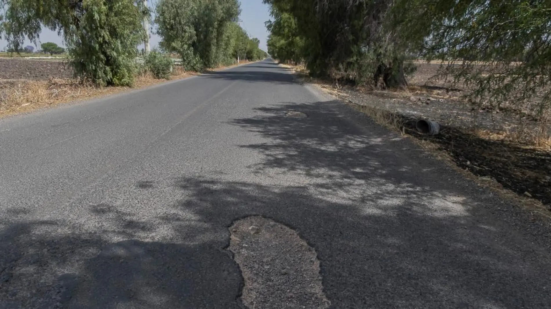 Baches La Fuente